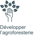 Développer l'agro-foresterie, projet lobodis